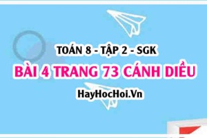 Bài 4 trang 73 Toán 8 Tập 2 Cánh Diều